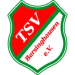 TSV Barsinghausen logo