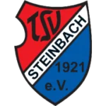 TSV Steinbach Haiger II logo