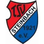 TSV Steinbach Haiger logo