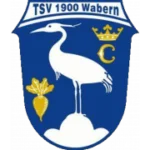 TSV Wabern logo