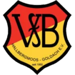 VfB Hallbergmoos logo