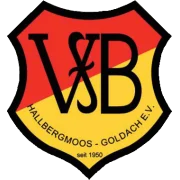 VfB Hallbergmoos logo