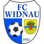 Виднау logo