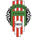 Виктория Жижков logo
