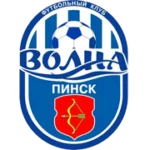Волна Пинск logo