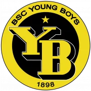 Янг Бойз logo