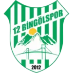 12 Бингёль logo