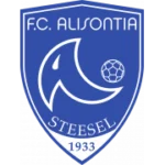Алисонтия Стейнзель logo