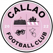 Amazon Callao logo