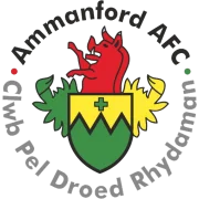 Амманфорд logo