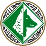 Avellino Under 17 logo