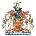 Барри Таун logo
