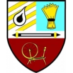 Бэнбридж Таун logo