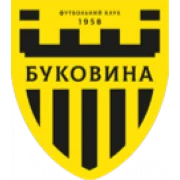 Буковина logo