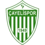 Чайелиспор logo