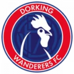 Доркинг Уондерерс logo