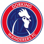 Доркинг Уондерерс logo