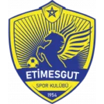 Etimesgut SK logo