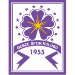 Гебзеспор logo