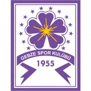 Гебзеспор logo