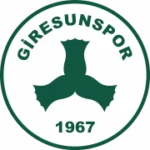 Гиресунспор logo