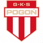 ГКС Погонь logo