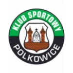 Гурник Полковице logo