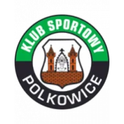 Гурник Полковице logo