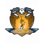 Хеган Юнайтед logo