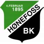 Хенефосс logo