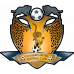 Хоуган Юнайтед Резерв logo