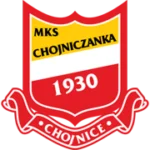 Хойничанка logo
