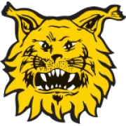 Ilves Tampere II logo