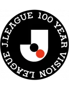 J2/J3 100 Year Vision League