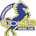 Камбернолд Колтс logo