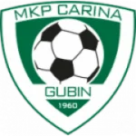 Карина Губин logo