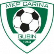 Карина Губин logo