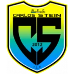 Карлос Стейн logo