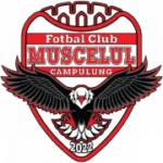 Кимпулунг logo