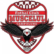 Кимпулунг logo