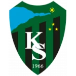Коджаэлиспор logo
