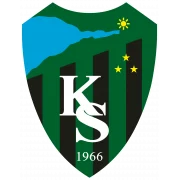 Коджаэлиспор logo