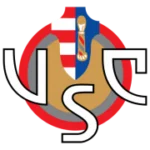 Кремонезе logo