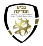 Кубок Израиля logo