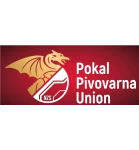 Кубок Словении logo