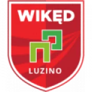 Люзино logo