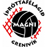 Магни logo