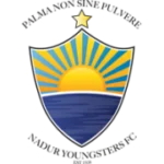 Надур logo