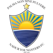 Надур logo