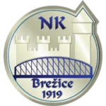 NK Brezice 1919 U19 logo
